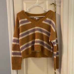 American Eagle Cropped Sweater